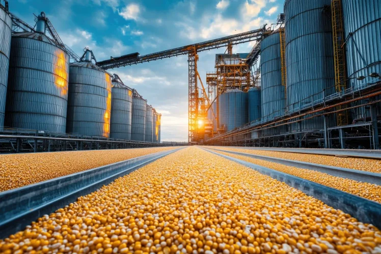 AdobeStock_1105585840 (1)